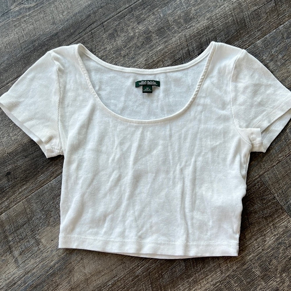 Wild Fable Ribbed Crop Top